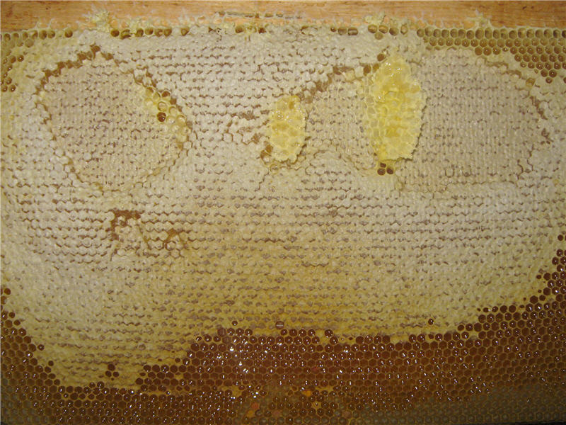 Пчелиный мёд