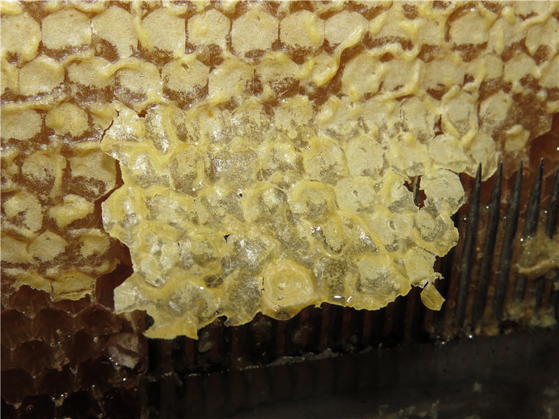 Вот так отделяется печатка мёда