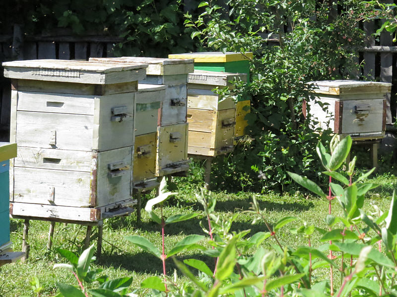 Содержание пчёл в двухкорпусных ульях